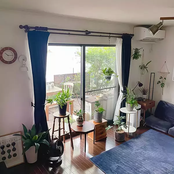 「【今週の〇〇】テーマは「植物のある暮らし」！最新の投稿写真をピックアップ」の画像