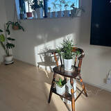 「【今週の〇〇】テーマは「植物のある暮らし」！最新の投稿写真をピックアップ」の画像4