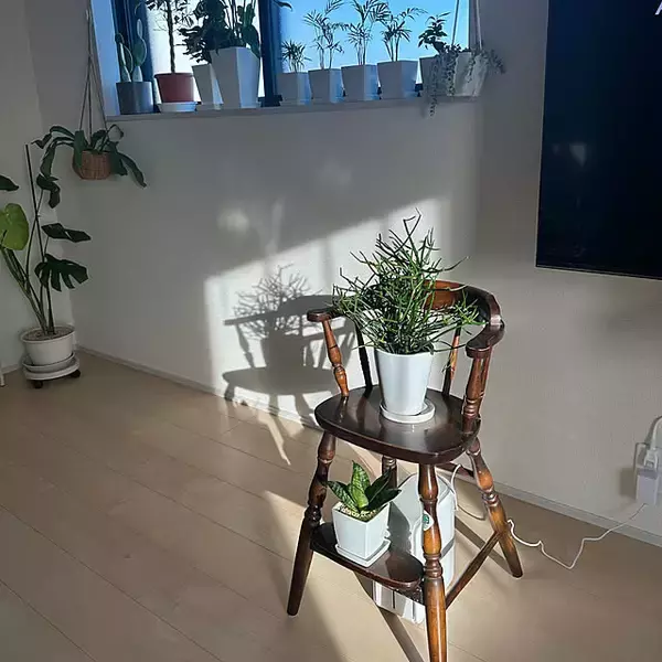 「【今週の〇〇】テーマは「植物のある暮らし」！最新の投稿写真をピックアップ」の画像