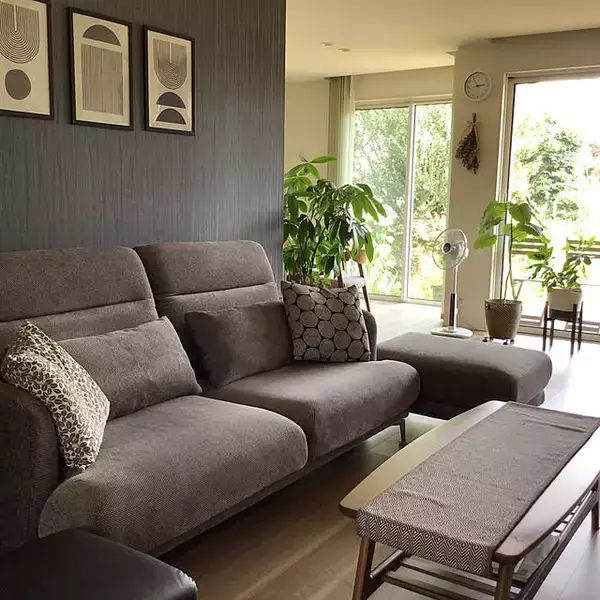 「スタイリッシュで育てやすい品種が勢ぞろい！インテリアにおすすめの観葉植物10選」の画像