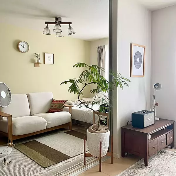 「スタイリッシュで育てやすい品種が勢ぞろい！インテリアにおすすめの観葉植物10選」の画像