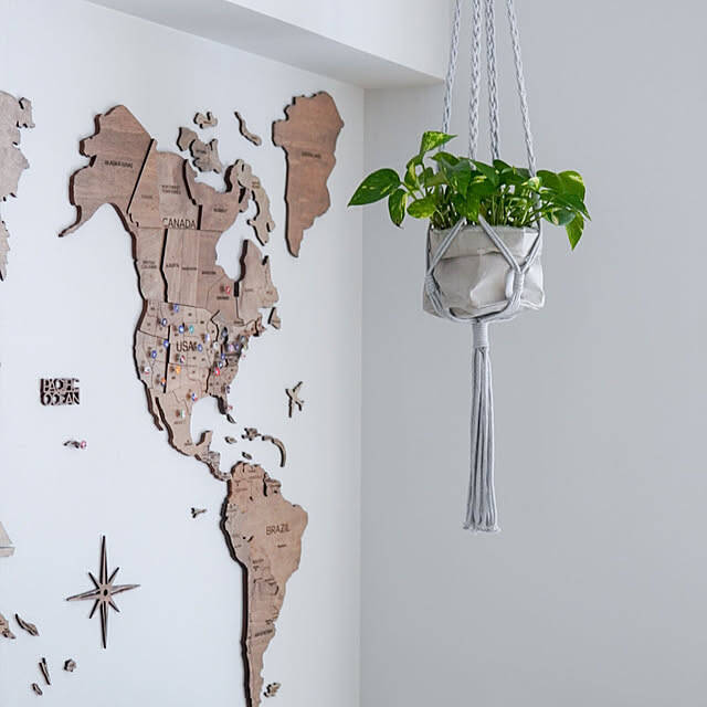 【みんなが選んだ！】グリーンのある暮らしを楽しみたい方へ♪Standard Productsの植物まわりのアイテム5選