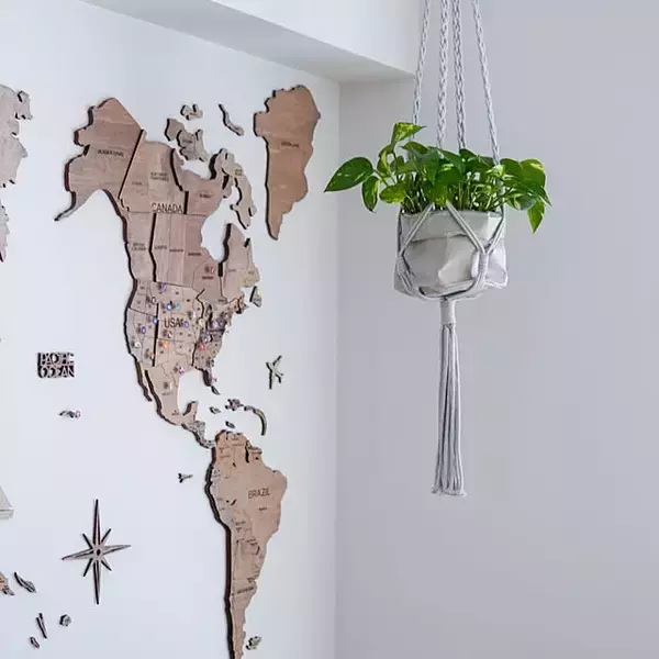 「【みんなが選んだ！】グリーンのある暮らしを楽しみたい方へ♪Standard Productsの植物まわりのアイテム5選」の画像