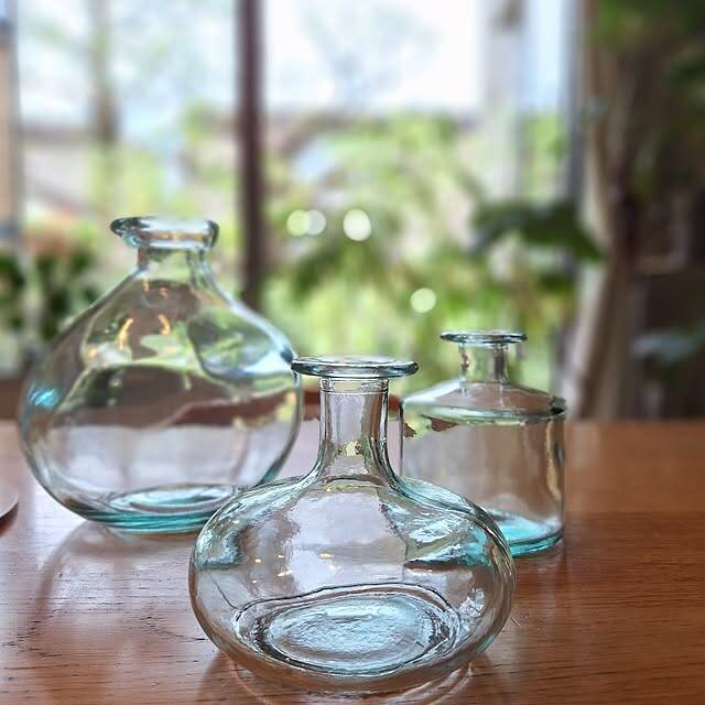 【みんなが選んだ！】グリーンのある暮らしを楽しみたい方へ♪Standard Productsの植物まわりのアイテム5選