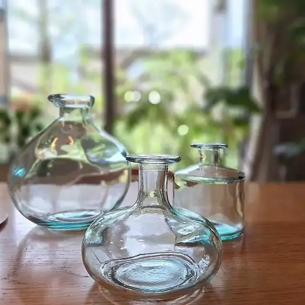 「【みんなが選んだ！】グリーンのある暮らしを楽しみたい方へ♪Standard Productsの植物まわりのアイテム5選」の画像