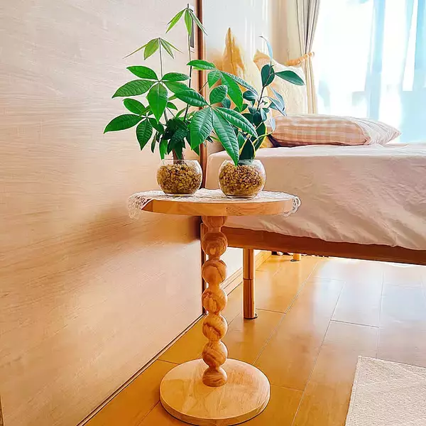 【今週の〇〇】テーマは「植物のある暮らし」！最新の投稿写真をピックアップ