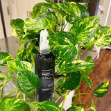 「【今週の〇〇】テーマは「植物のある暮らし」！最新の投稿写真をピックアップ」の画像3