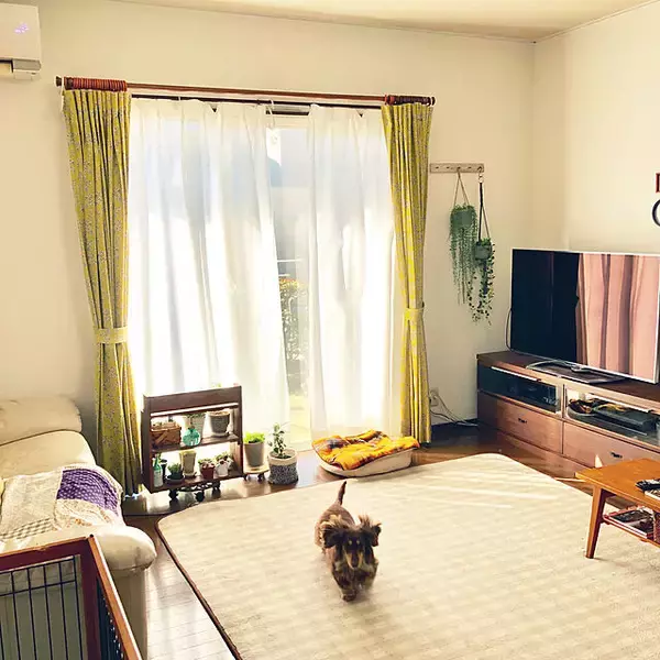 「フレッシュなカラーで気分すっきり！レモンイエローを取り入れたお部屋」の画像