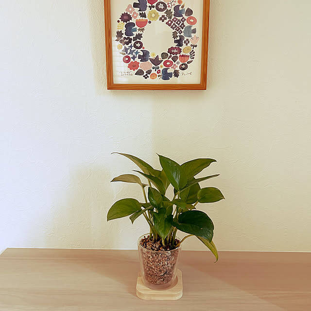 【今週の〇〇】テーマは「植物のある暮らし」！最新の投稿写真をピックアップ