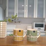 「気取らず使える北欧の名作♡暮らしに寄り添うアラビアの食器6選」の画像2