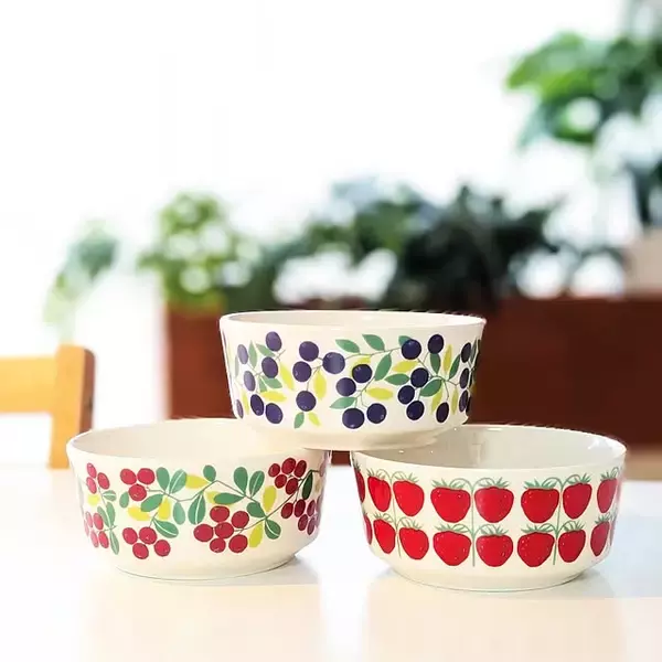 「気取らず使える北欧の名作♡暮らしに寄り添うアラビアの食器6選」の画像