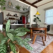 【2025年総まとめ】テーマは「植物のある暮らし」！みんなが注目した投稿5選