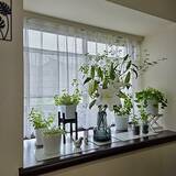 「【2025年総まとめ】テーマは「植物のある暮らし」！みんなが注目した投稿5選」の画像3