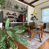 「【2025年総まとめ】テーマは「植物のある暮らし」！みんなが注目した投稿5選」の画像5