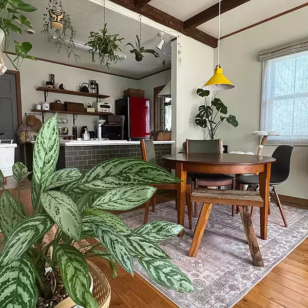 「【2025年総まとめ】テーマは「植物のある暮らし」！みんなが注目した投稿5選」の画像