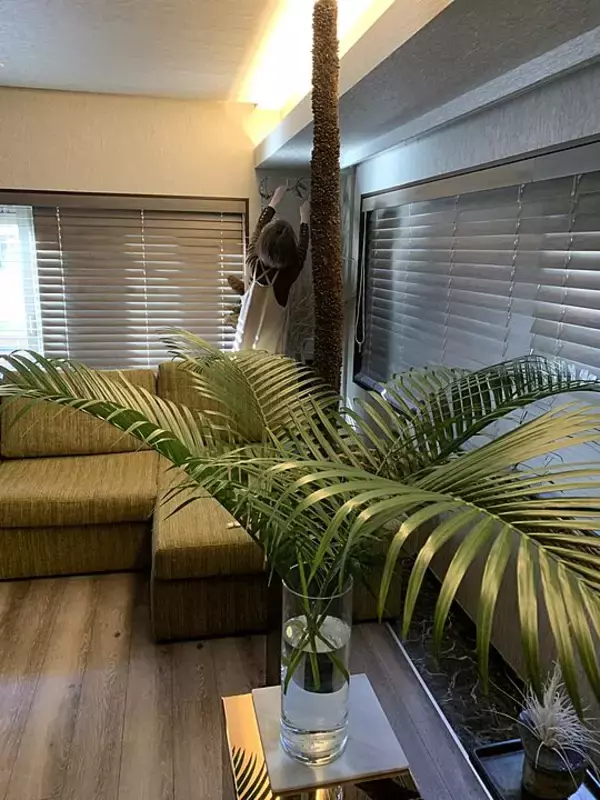 「「50m2。リノベーションで手に入れた、石と植物で魅せるモダンなワンルーム」 by YANNAさん」の画像