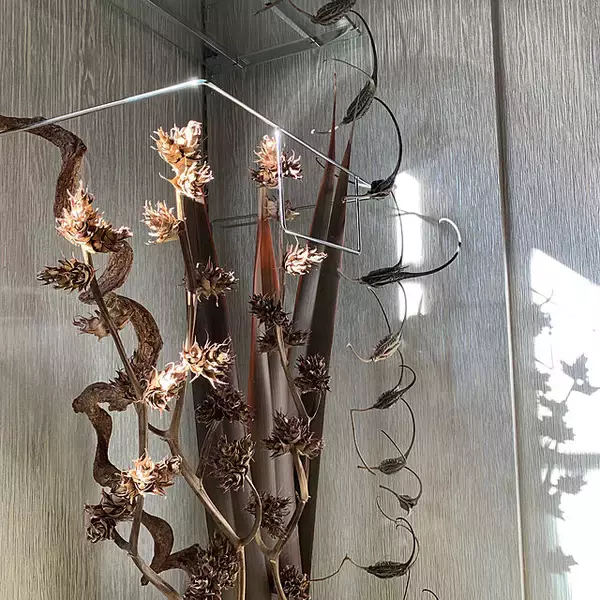 「「50m2。リノベーションで手に入れた、石と植物で魅せるモダンなワンルーム」 by YANNAさん」の画像