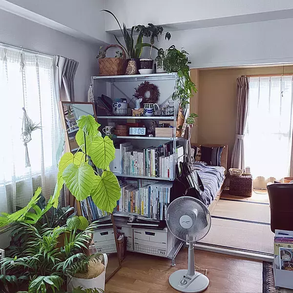 「一人暮らしの強い味方！無印良品のユニットシェルフで賢く収納」の画像