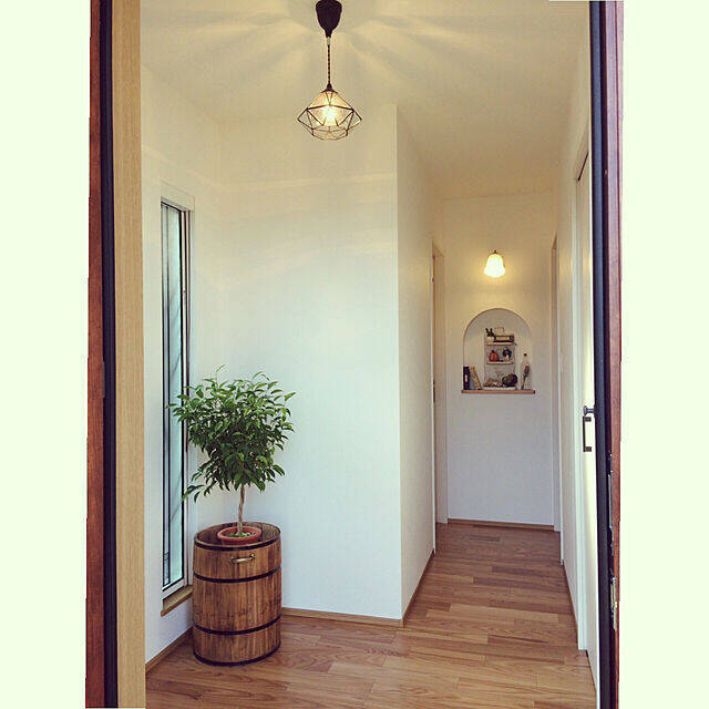 家でグリーンを感じたい 観葉植物の魅力を引き出す飾り方や置き場所10選 22年3月5日 エキサイトニュース 2 3 家でグリーンを感じたい 観葉植物の魅力を引き出す飾り方や置き場所10選 22年3月5日 エキサイトニュース 2 3