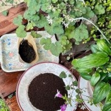 そのコーヒーかす、捨てないで！暮らしに役立つ再利用方法6選