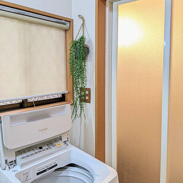 家じゅうあちこちで癒しをくれる♪ニトリのフェイクグリーン