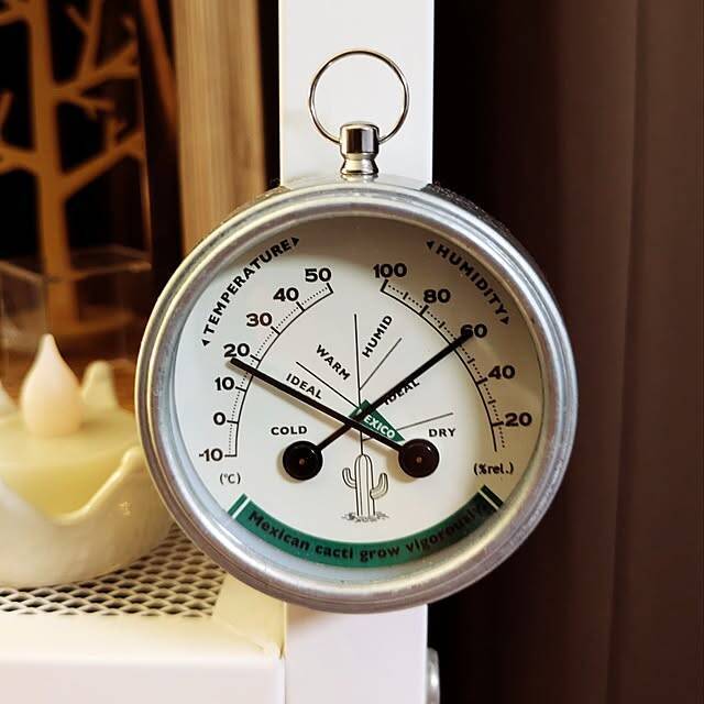 個性が光る、インテリアのアクセントに！きっと欲しくなるダルトンのアイテム6選