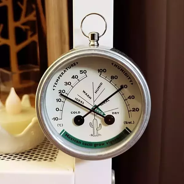 「個性が光る、インテリアのアクセントに！きっと欲しくなるダルトンのアイテム6選」の画像