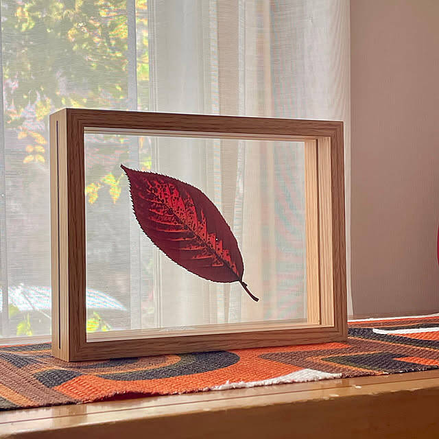 Standard Productsで叶えるワンランク上のライフスタイル。RoomClipユーザーさんのおすすめ10選