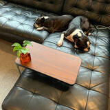 「ちょい置きできて便利！コンパクトでおすすめのサイドテーブル10選」の画像9