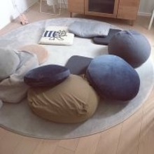 人もペットもくつろげる♡ニトリのモチモチクッションでみんなリラックス