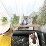 「上手に隠してお部屋もすっきり♪暮らしが整うケーブル収納のアイデア10選」の画像11