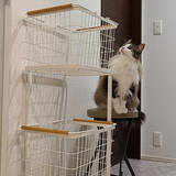 「溜まる洗濯物にもう悩まない！今日から洗濯がラクになるアイデア10選」の画像3