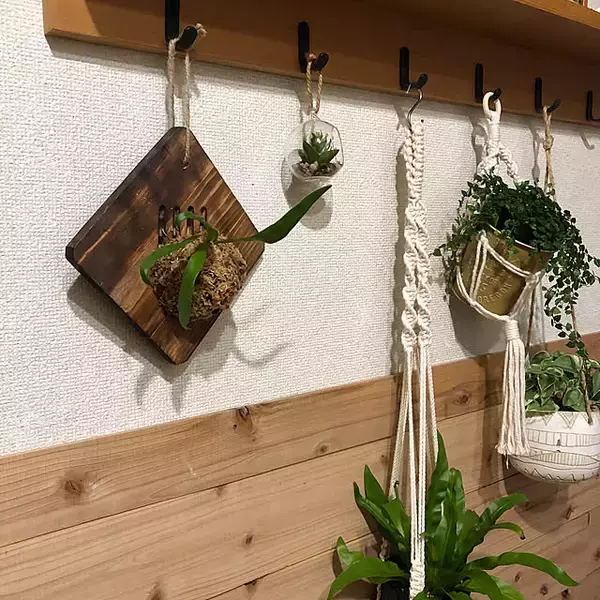 「100均アイテムでできた♡憧れの壁面ディスプレイのあるお部屋」の画像