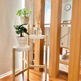 「植物の存在感アップ！魅力的なディスプレイを叶えるプラントスタンド」の画像2