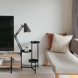 「植物の存在感アップ！魅力的なディスプレイを叶えるプラントスタンド」の画像3