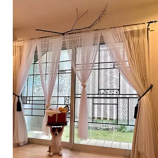 「ダイソーのアイテムをフル活用！海外風インテリアスタイルのお部屋にぴったりなDIYアイデアをご紹介」の画像