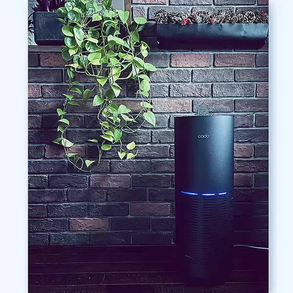 ニオイや花粉が気になったら空気清浄機におまかせ！お部屋に合う1台をご紹介