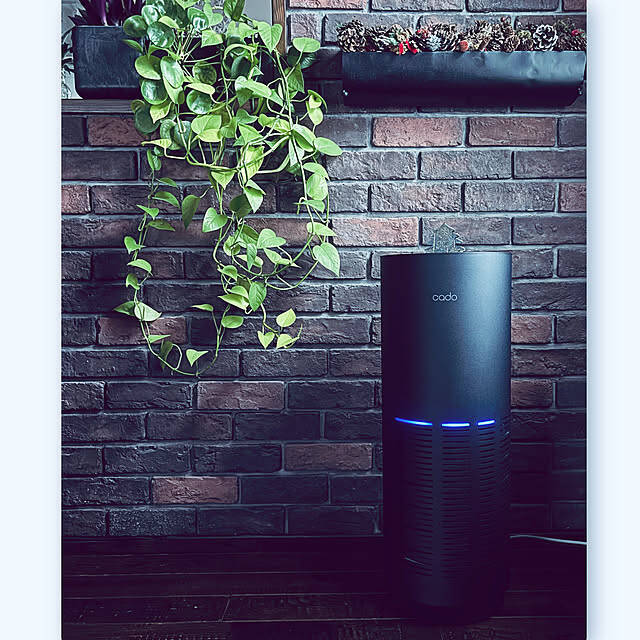 ニオイや花粉が気になったら空気清浄機におまかせ！お部屋に合う1台をご紹介