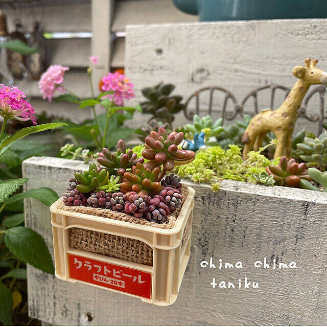 遊び心いっぱいの実用品としても セリアのミニチュア製品活用術 22年5月3日 エキサイトニュース 2 3 遊び心いっぱいの実用品としても セリアのミニチュア製品活用術 22年5月3日 エキサイトニュース 2 3