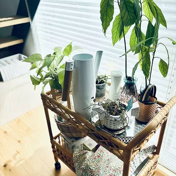 「「水やり以外にも大活躍！IKEAのじょうろBITTERGURKA 」by Mintea さん」の画像