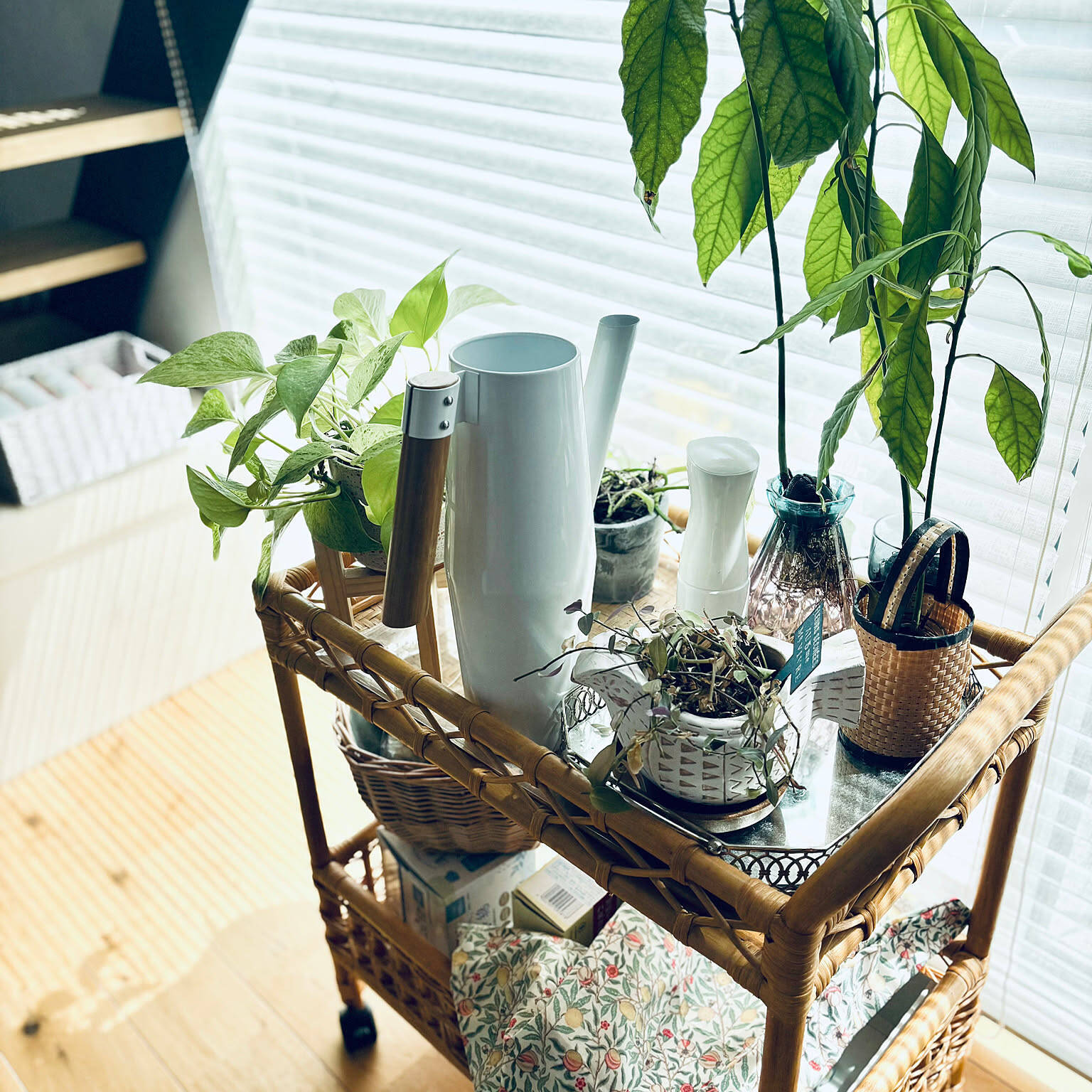 「水やり以外にも大活躍！IKEAのじょうろBITTERGURKA 」by Mintea さん