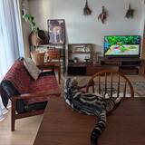 「「暮らしを軽やかに。日々の動作をスムーズにする収納の工夫」 by lovepeaceさん」の画像2