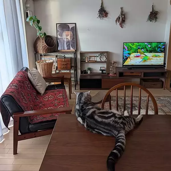 「「暮らしを軽やかに。日々の動作をスムーズにする収納の工夫」 by lovepeaceさん」の画像