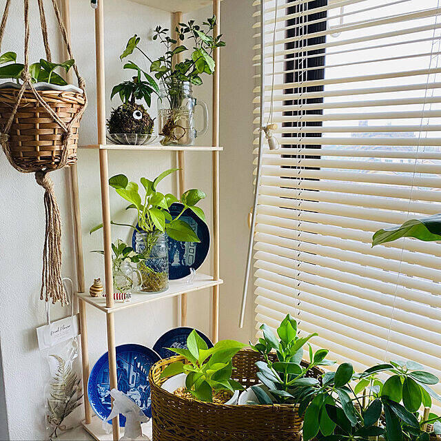 ダイソーアイテムが大活躍！自分好みの棚づくりで、お部屋がセンスアップ♡