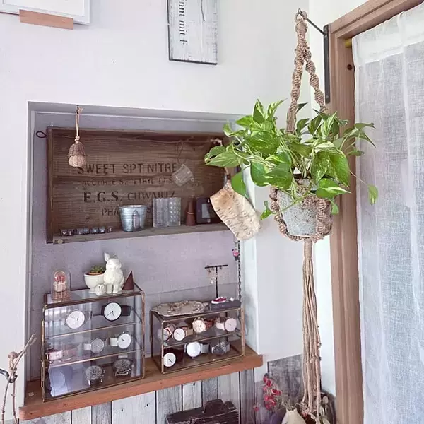 「【今週の〇〇】テーマは「植物」！最新の投稿写真をピックアップ」の画像