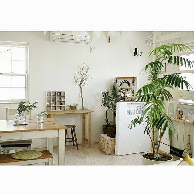 ディスプレイ棚にもなる♪リビングに置きたいコンソールテーブル