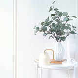 「お部屋に彩りをプラス☆植物まわりのアイテムはIKEAにおまかせ」の画像10