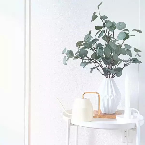 「お部屋に彩りをプラス☆植物まわりのアイテムはIKEAにおまかせ」の画像
