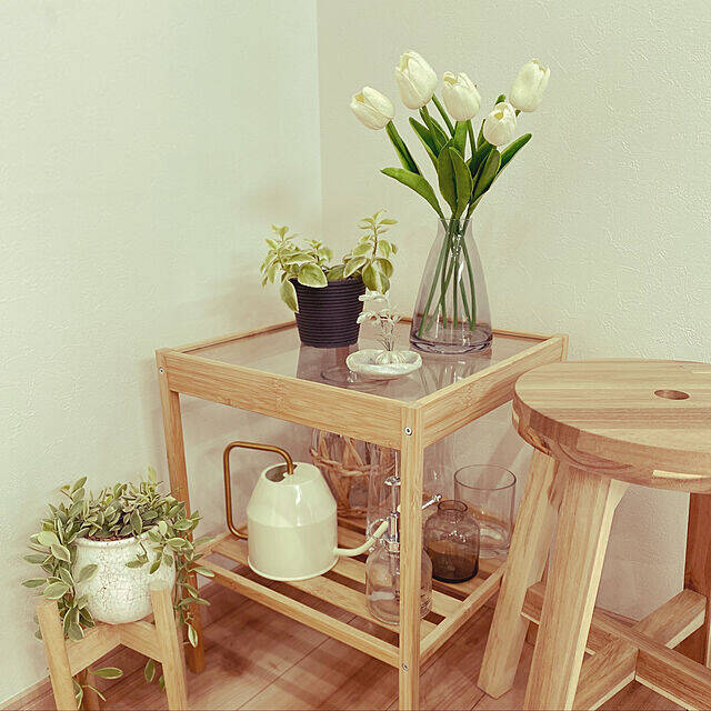 お部屋に彩りをプラス☆植物まわりのアイテムはIKEAにおまかせ