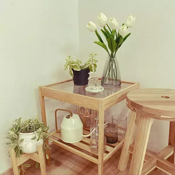 「お部屋に彩りをプラス☆植物まわりのアイテムはIKEAにおまかせ」の画像
